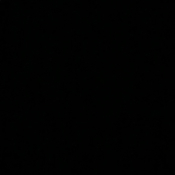 Meet your Posher, Sana - Picture 1 of 1